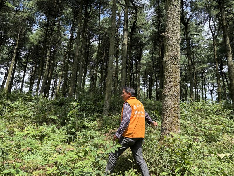 護林員李書國正在巡山護林。