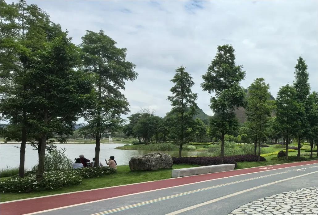 圖為虹山湖海綿調蓄公園一角。