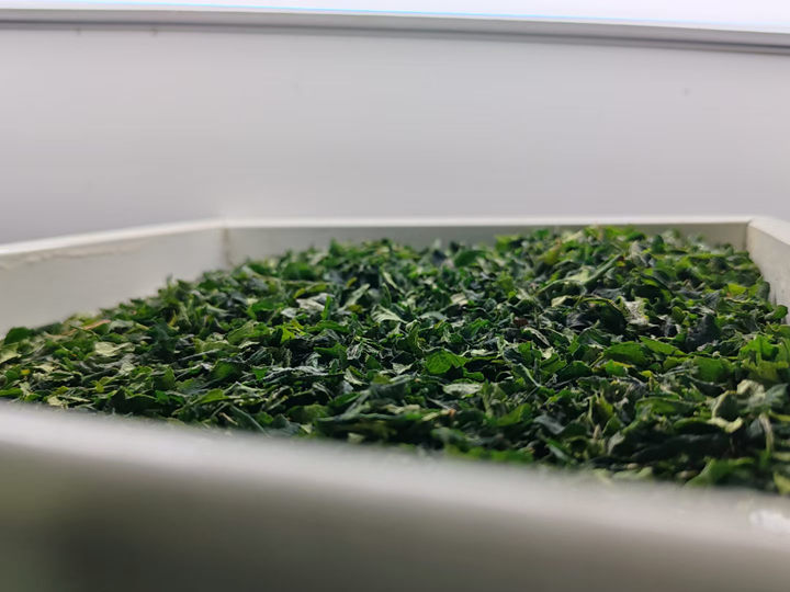 碾茶創新中心的碾茶。