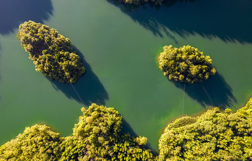 2025年8月14日航拍的貴州省畢節市百里杜鵑管理區境內的百里杜鵑湖。 