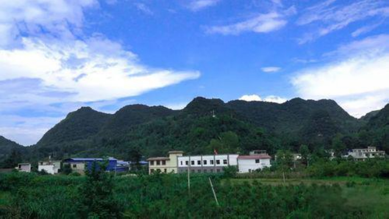 黔西市大關(guān)鎮(zhèn)七里村。