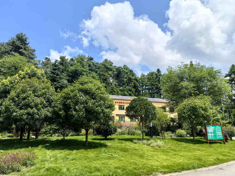 “貴州森林·壹號眠宿”一角。李云攝