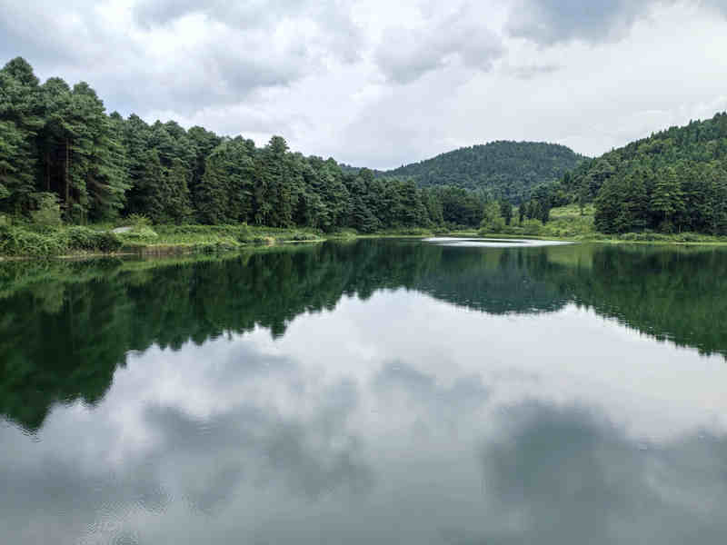林區周邊水庫。郭羽嬋攝