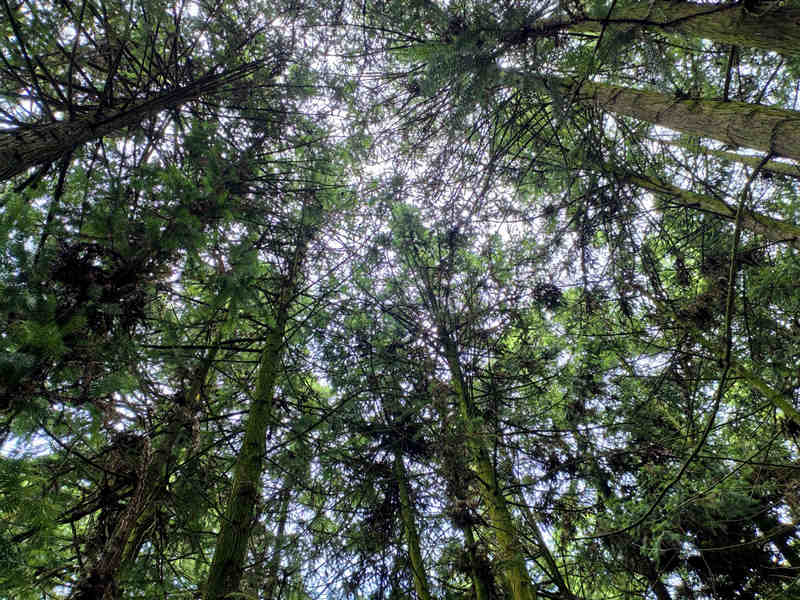 省國有扎佐林場六屯分場一角。姜繼恒攝