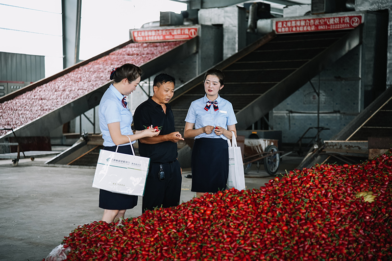 郵儲銀行工作人員在了解辣椒產品。