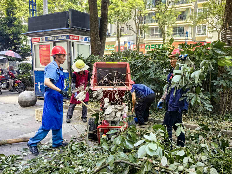 修剪綠化樹(shù)。