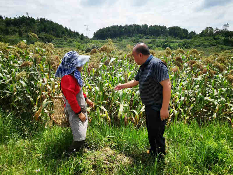 農技人員指導村民如何預防病蟲害。