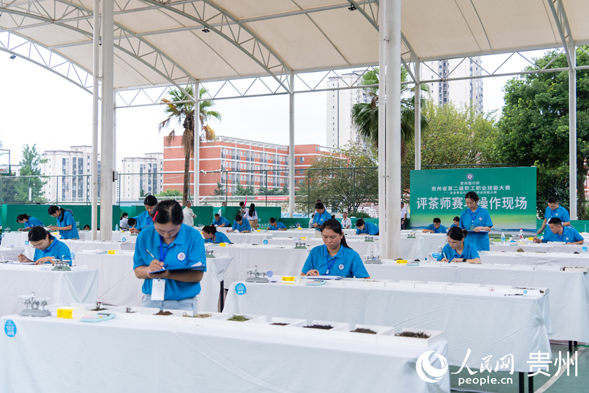 評茶師比賽現場。人民網記者 涂敏攝