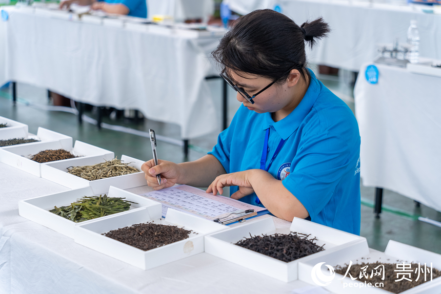 評茶師比賽現場。人民網記者 涂敏攝