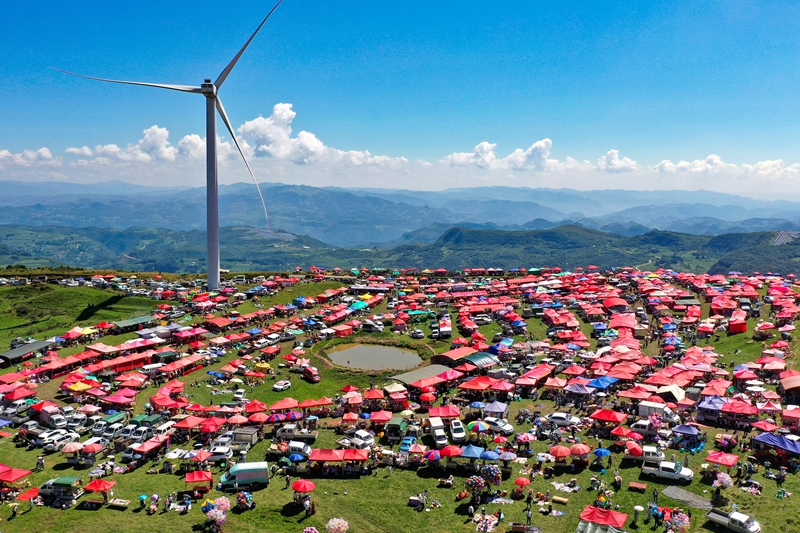 2025年雪山灼甫“村歌”示范展示暨“我們的中國夢·文化進萬家”威寧自治縣避暑旅游季火把狂歡、房車露營系列活期間,灼甫草場地攤生小吃火爆。岳剛攝
