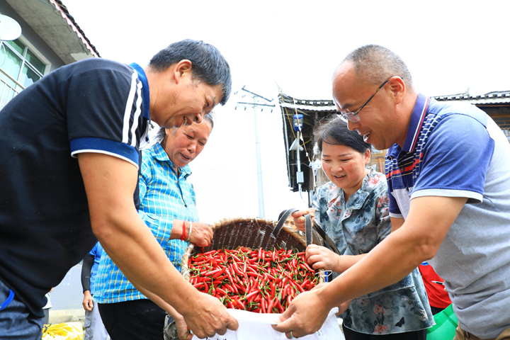 在劍河縣磻溪鎮高壩村，村民們把自家采收的辣椒拿到村口給公司收購。