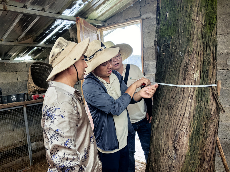 工作中的草帽電力人。
