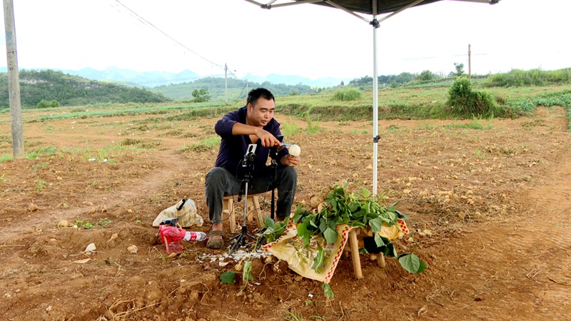 村民正在直播售賣地蘿卜。.jpg