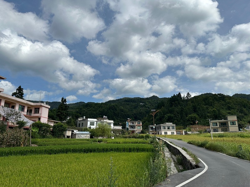 平壩鎮雙興社區。彭垚攝