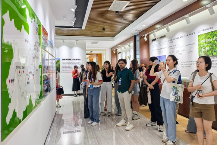 參觀體驗抹茶文化。