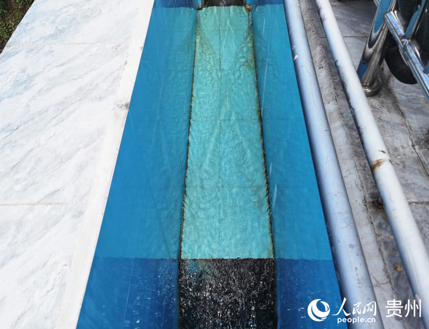 蘭家灣白酒廢水處理廠出水口處。人民網記者 王秀芳攝