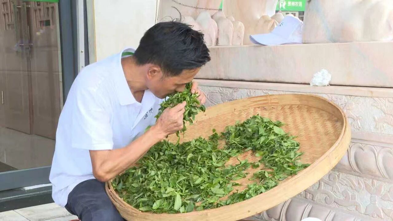 圖為活動現場。