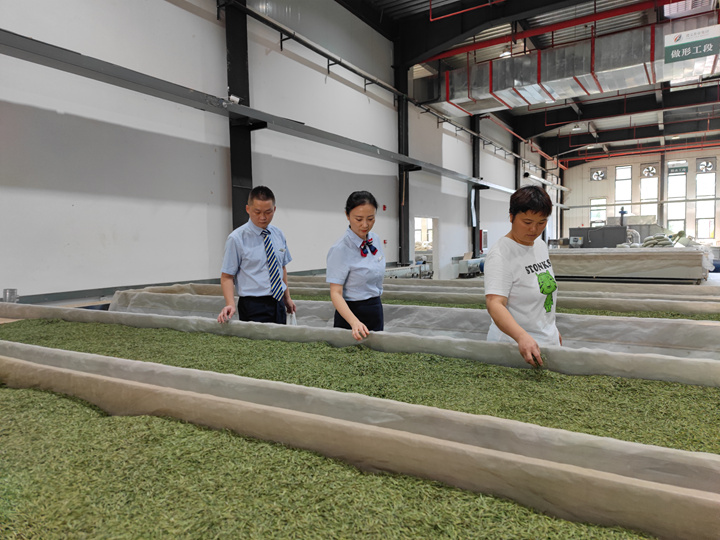 郵儲銀行工作人員走進某茶葉加工廠了解生產情況。