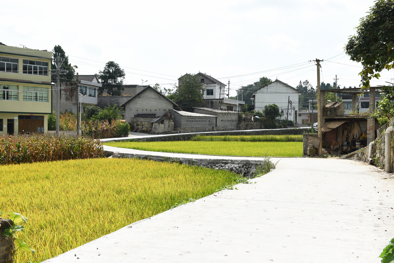 2025年9月4日,貴州省黔西市甘棠鎮大錫社區林角塘修復好的道路。