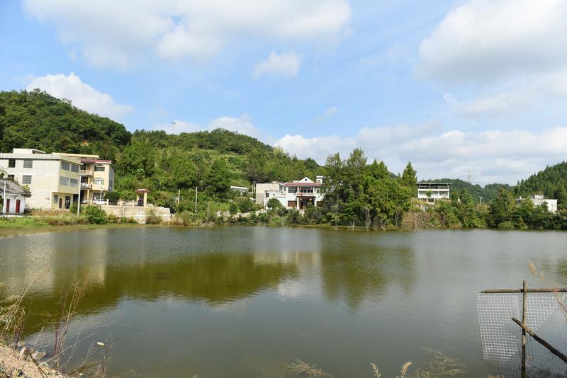 2025年9月4日,貴州省黔西市甘棠鎮大錫社區林角塘修復道路旁的垂釣池塘。張晶攝