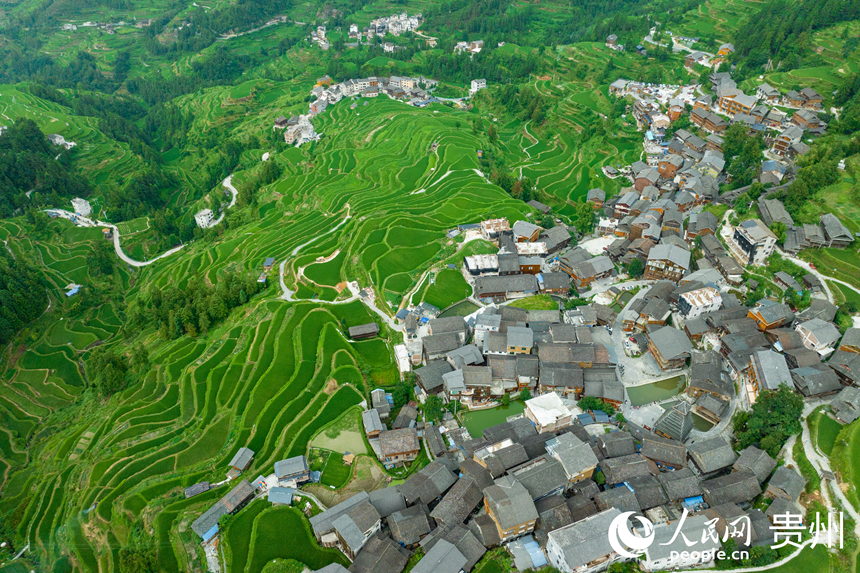 航拍堂安侗寨梯田。人民網(wǎng) 陽茜攝