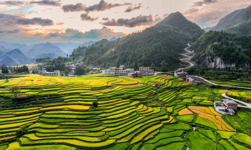 臘利梯田。尹剛攝