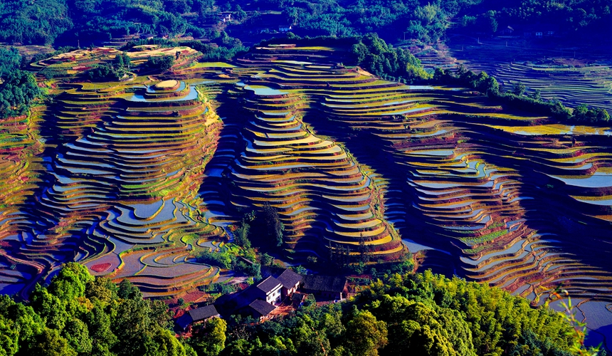 赤水寶源梯田。李寧攝