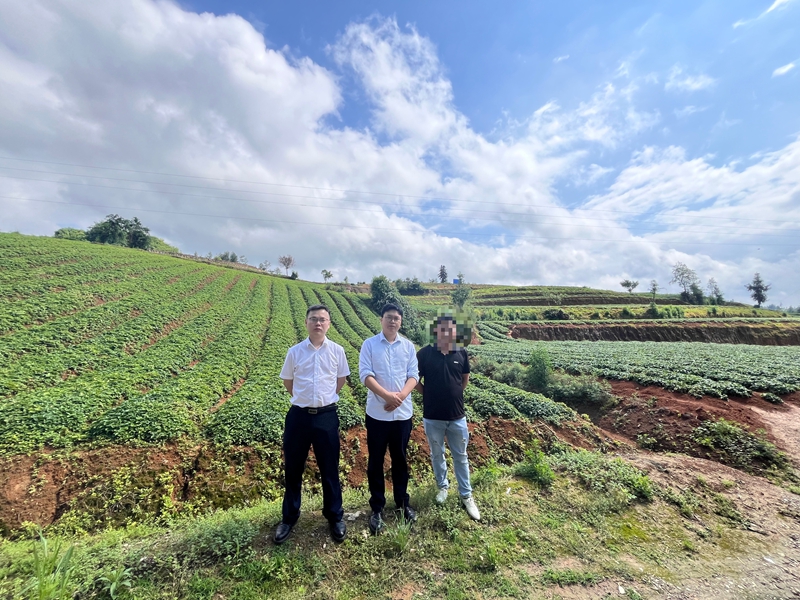 2 圖為該行工作人員到施秉縣太子參種植基地了解種植情況,并開展貸款盡職調查。.jpg