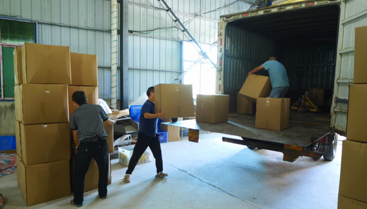 西秀千畝菊花綻放“美麗經濟”。