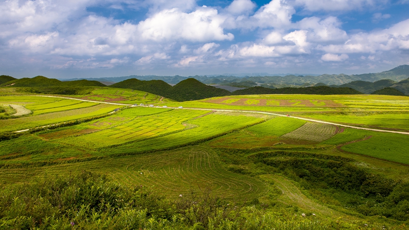 貴州省畢節市威寧自治縣板底鄉小流域治理。威寧自治縣水務局供圖