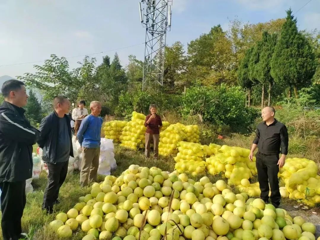 開展駐村幫扶工作。