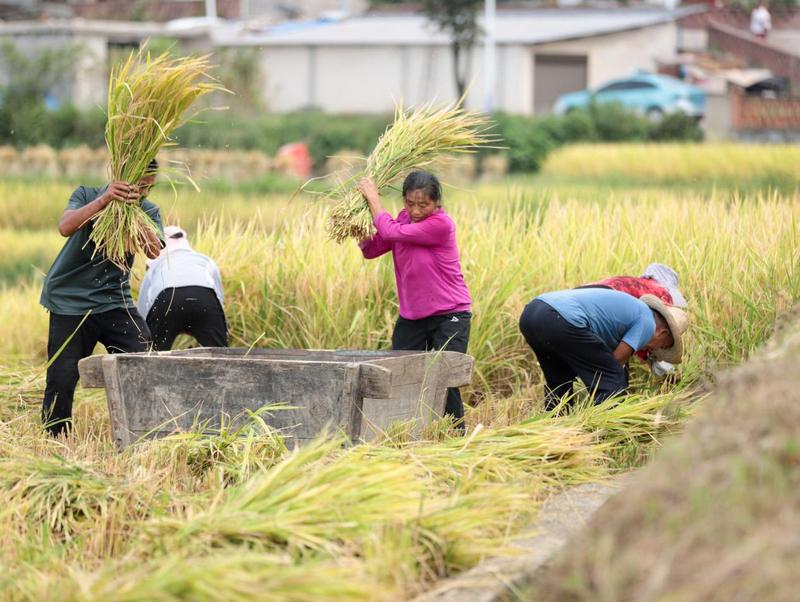 活動現場。徐雪攝