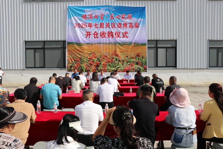 七星關區酒用高粱開倉收購儀式。劉娟攝