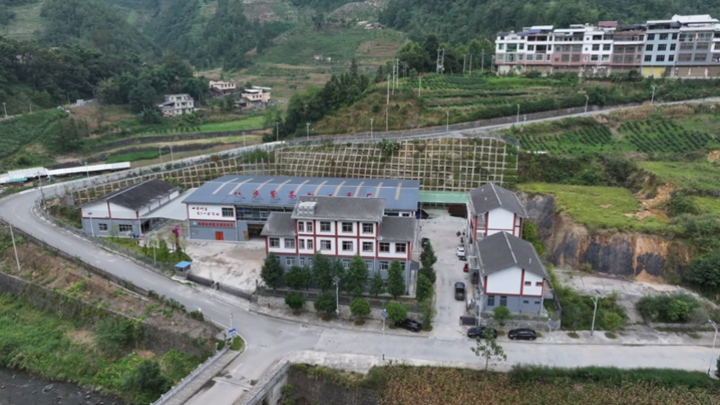 八步紫茶加工總廠。