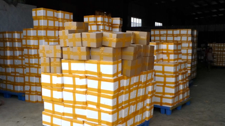 圖為打包好待發(fā)貨的地蘿卜。