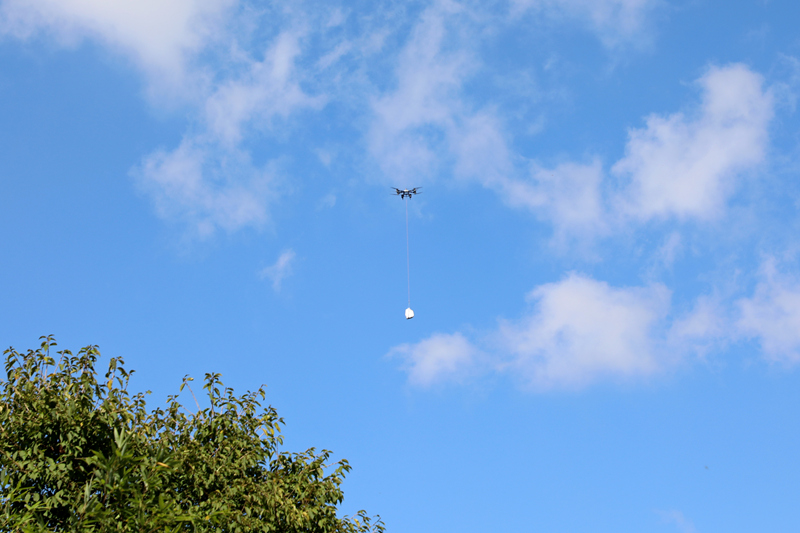 無人機助力方竹筍出山。陳桂良攝