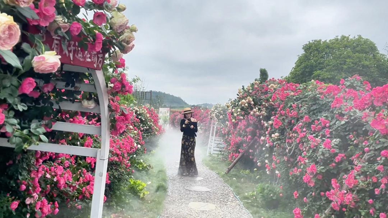 游客在萌遇桃花島拍照。