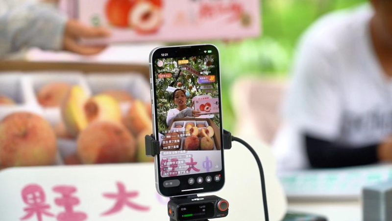 直播團隊在直播間銷售艷紅桃。