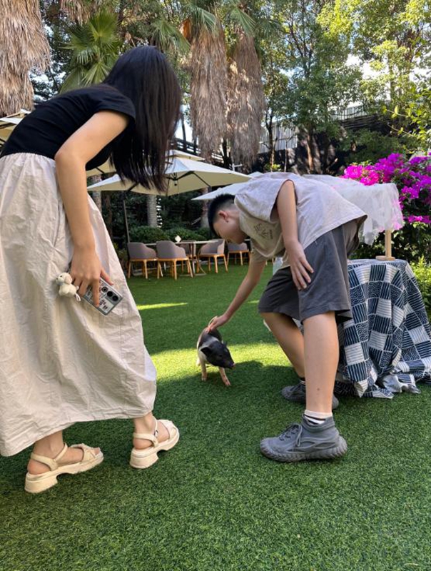 貴陽鉑爾曼大酒店新場景點燃南明秋季文旅市場。