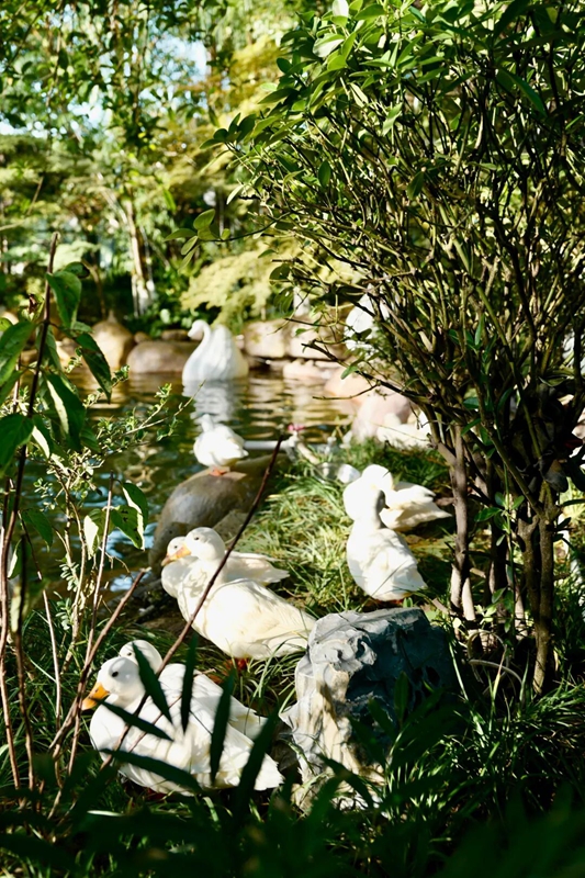 貴陽鉑爾曼大酒店新場景點燃南明秋季文旅市場。