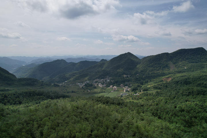 長春堡鎮犀牛村林地資源豐富 郁郁蔥蔥。周照人攝