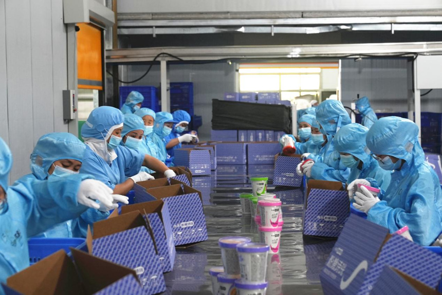 紅薯粉產品封裝。