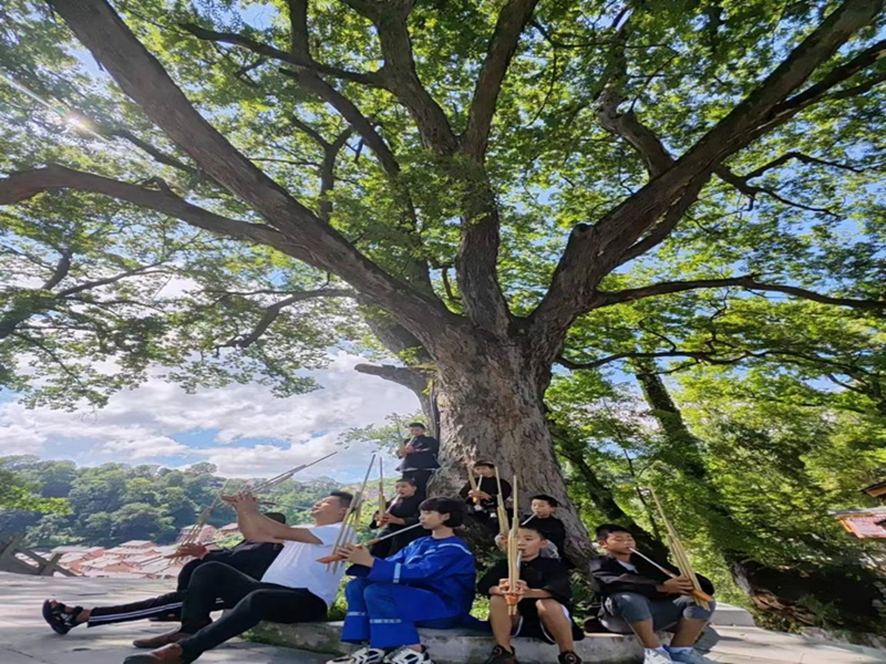 楊昌杰在報京村“莫嘎樹”下教授報京中心小學學生吹奏蘆笙。李安生攝