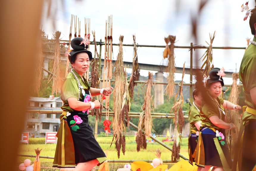 2025年9月13日，貴州省凱里市萬潮鎮(zhèn)馬田村，村民們在跳蘆笙舞鬧豐收。楊仁海攝