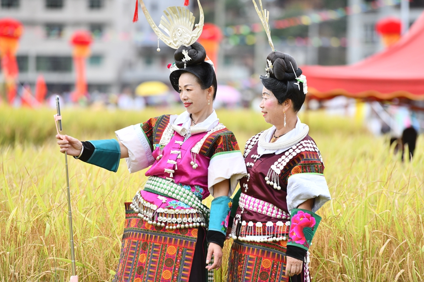 2025年9月13日，貴州省凱里市萬潮鎮(zhèn)馬田村，苗族村民們在田壩自拍鬧豐收。楊仁海攝
