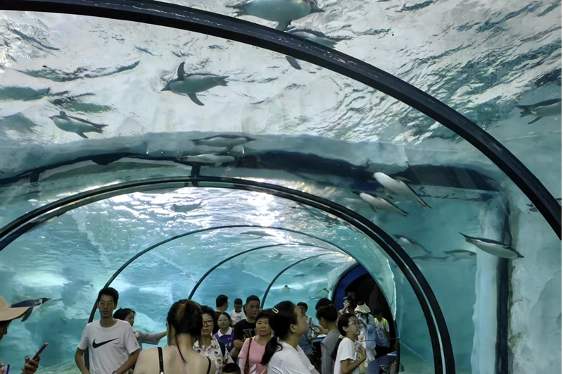 3 圖為在該行的金融支持下,昔日的海洋公園已煥發勃勃生機。.jpg