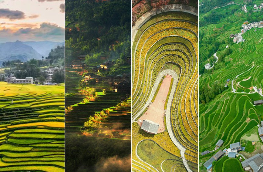 AI貴州有多彩 | 一眼千層景，貴州梯田的千姿百態