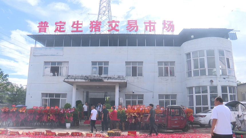 全縣首家生豬交易市場——普定誠銘閣牲畜批發有限公司正式成立。