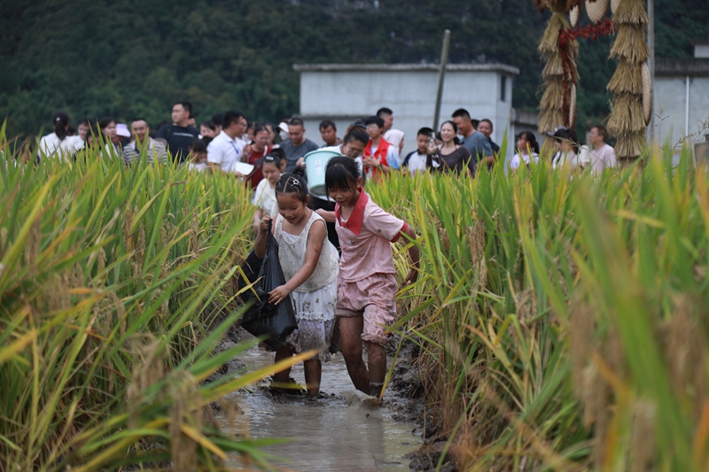 孩子們在體驗抓魚。