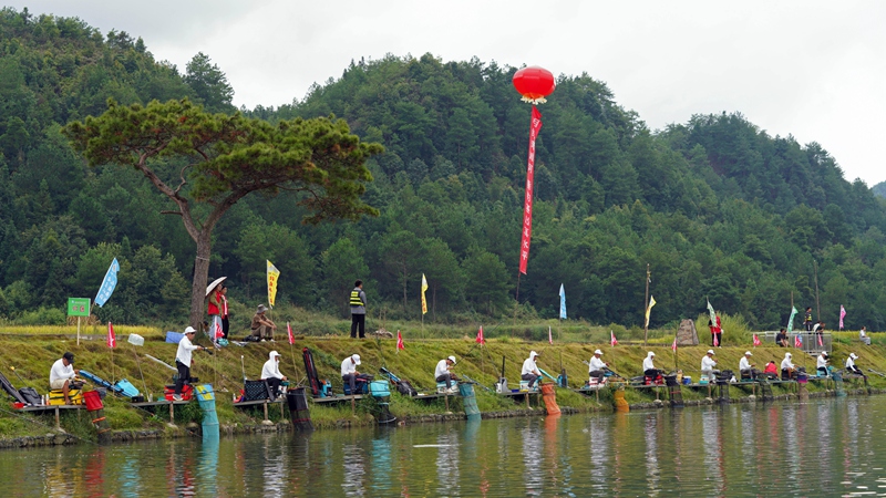 垂釣愛好者“村釣”競(jìng)技。